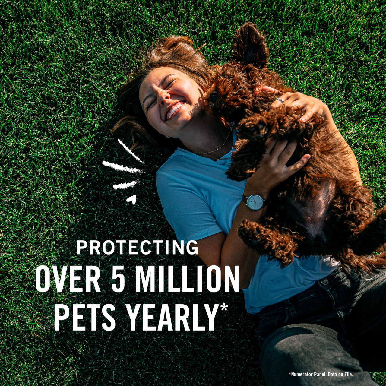 PetArmor Plus Flea and Tick Prevention for Dogs, Dog Flea and Tick Treatment, 1 Dose, Waterproof Topical, Fast Acting, Medium Dogs (23-44 lbs) 23-44 lbs 1 Count