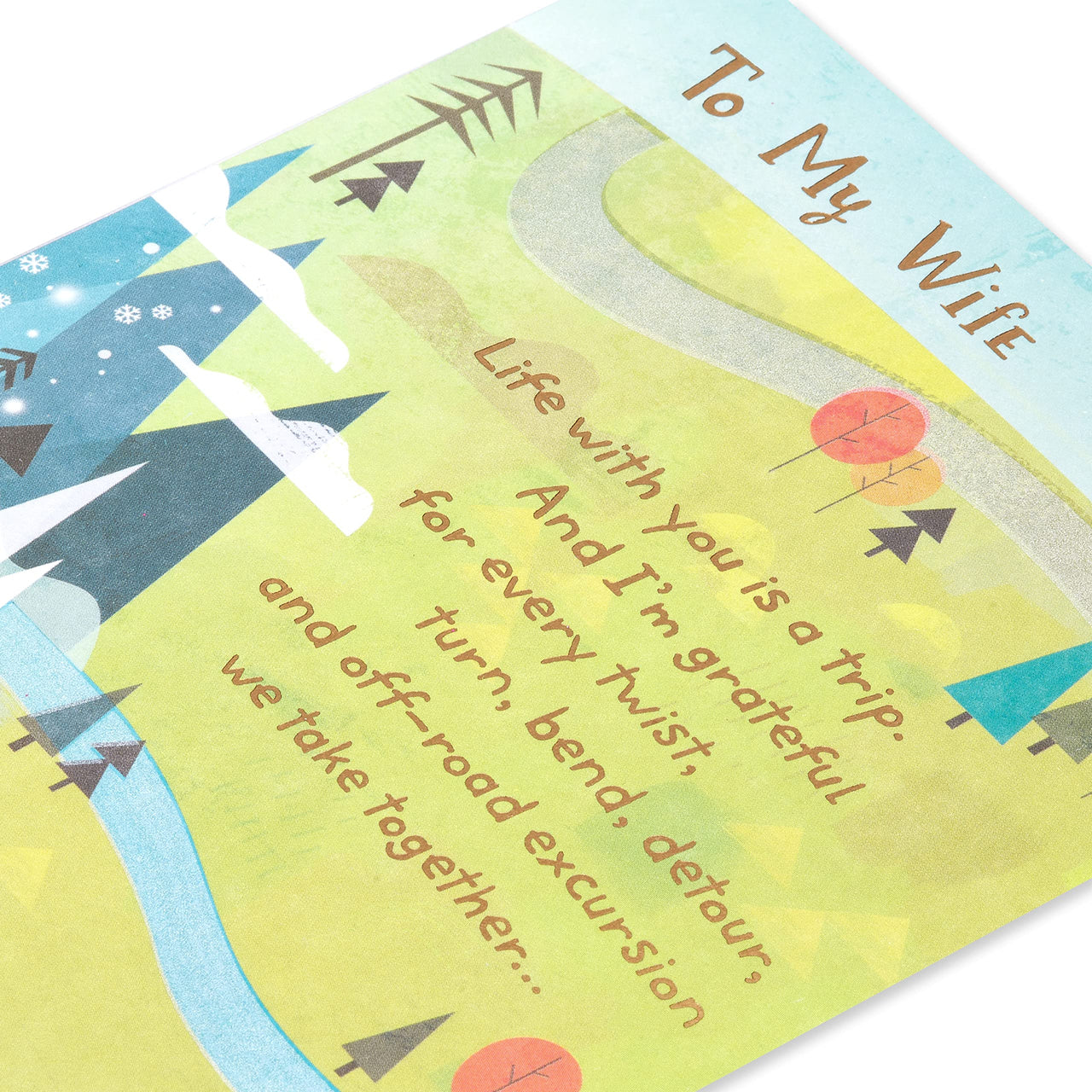 American Greetings Anniversary Card for Wife (Life is a Trip)