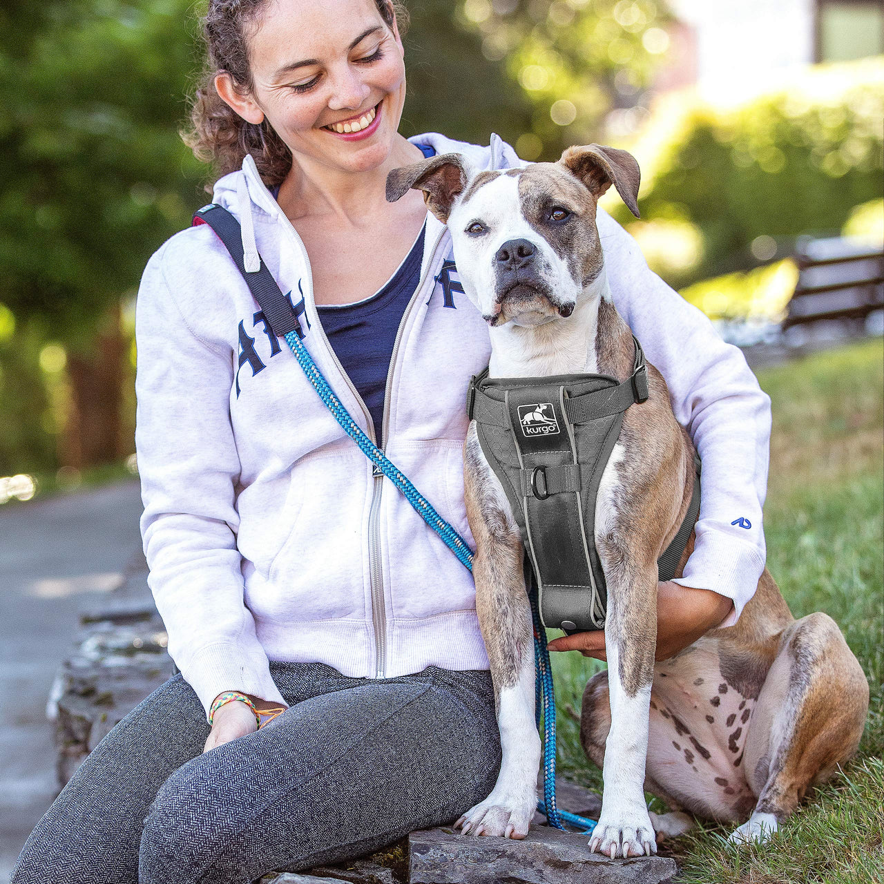 Kurgo Dog Harness | Pet Walking Harness | No Pull Harness Front Clip Feature for Training Included | Car Seat Belt | Tru-Fit Quick Release Style | Large | Grey