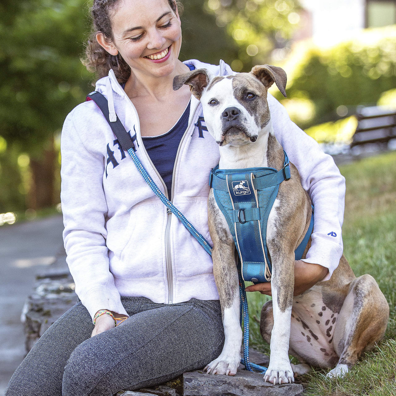 Kurgo Tru-Fit Smart Harness, Dog Harness, Pet Walking Harness, Quick Release Buckles, Front D-Ring for No-Pull Training, Includes Dog Seat Belt Tether (Blue, Medium) Blue