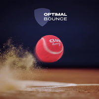 SG CLUB Heavy Cricket Balls (PACK OF 6)