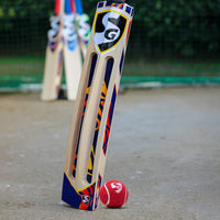 SG CLUB Heavy Cricket Balls (PACK OF 6)