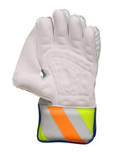 SG R 17 Wicket Keeping Gloves (Multi-Color) W.K. Gloves
