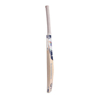 SG SG X LSG 1 0 Kashmir Willow Cricket Bat