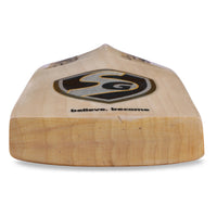 SG English Willow SG X GT 1.0 Cricket Bat, Short handle