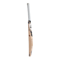 SG Englsh Willow SG X GT 2.0 Cricket Bat, Short Handle