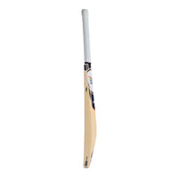 SG English Willow SG X LSG 6.0 Cricket Bat