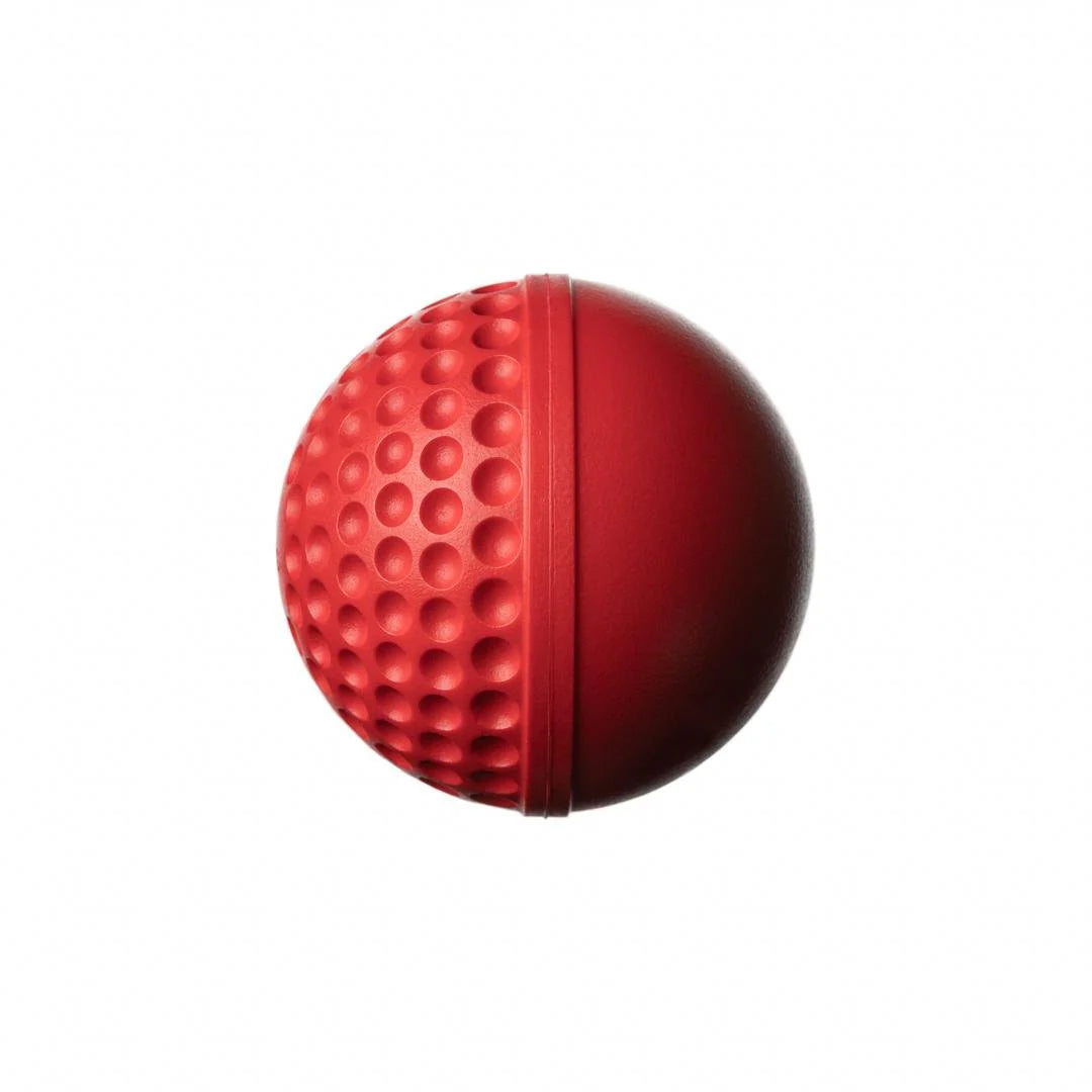 SG Swinga Cricket Ball (Red)