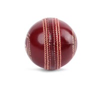 SG Test Cricket Leather Ball, Size For Adult