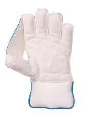 SG Tournament Wicket Keeping Gloves W.K. Gloves, Size For Adult