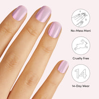 Unicorn Glazed Donut