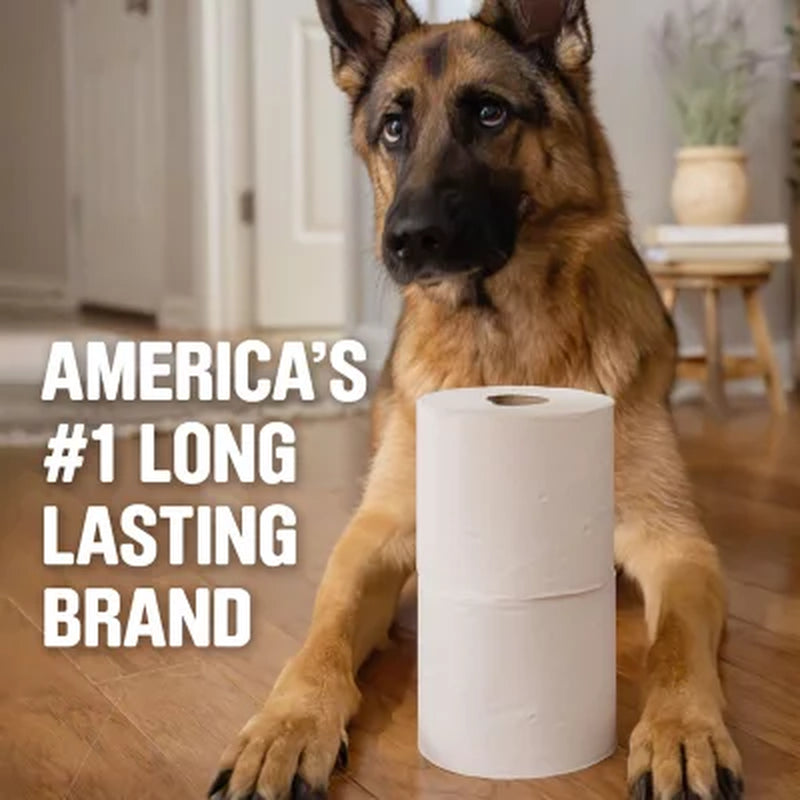 Scott 1100 1-Ply Toilet Paper 36 Rolls, 1100 Sheets/Roll