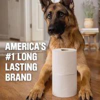 Scott 1100 1-Ply Toilet Paper 36 Rolls, 1100 Sheets/Roll