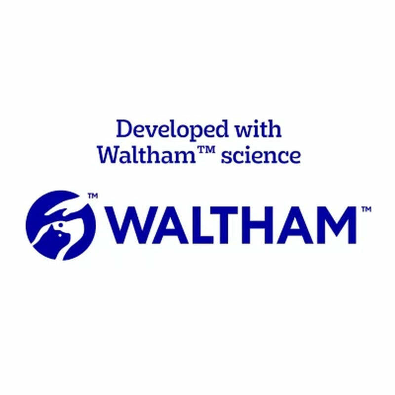 Pedigree Variety Pack, Choice Cuts in Gravy Adult Wet Dog Food, 3.5 Oz., 54 Ct.