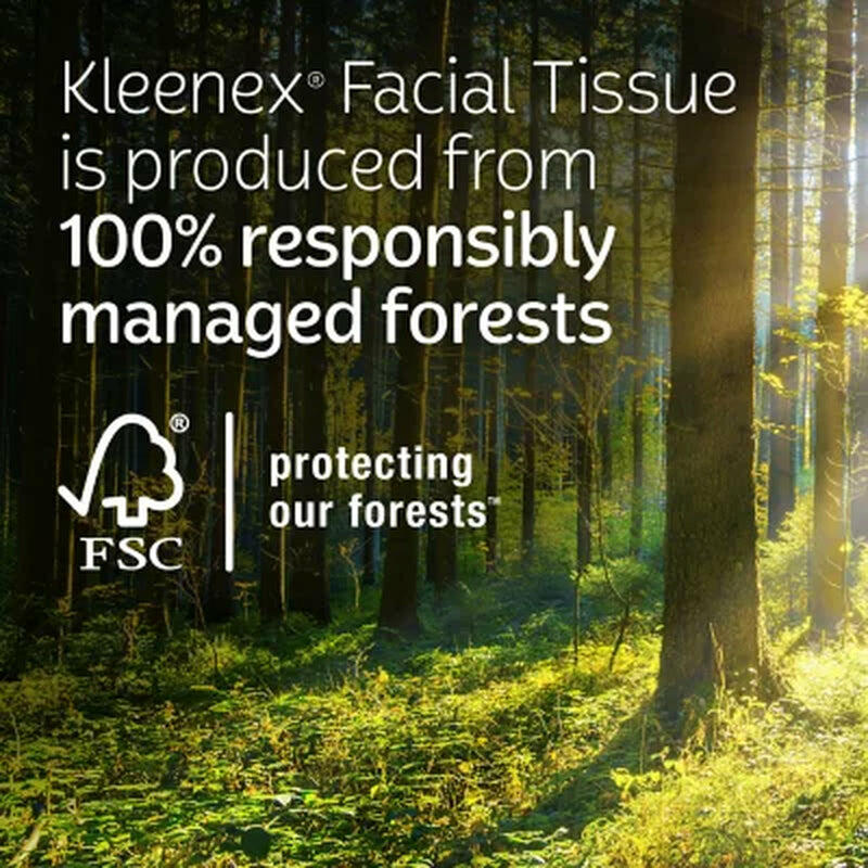 Kleenex Ultra Soft Hypoallergenic 3-Ply Facial Tissues 12 Cube Boxes, 72 Tissues/Box