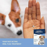 Petarmor Capaction Flea Tabs for Dogs, Choose Size