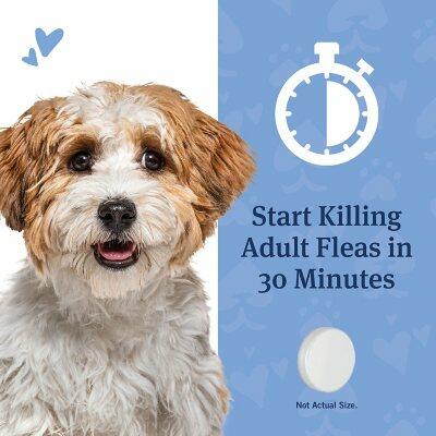 Petarmor Capaction Flea Tabs for Dogs, Choose Size