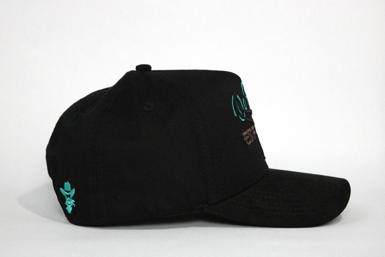 De Rancho Dessert Skull A-frame Hat (BLACK)