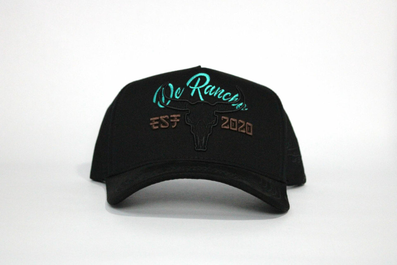 De Rancho Dessert Skull A-frame Hat (BLACK)