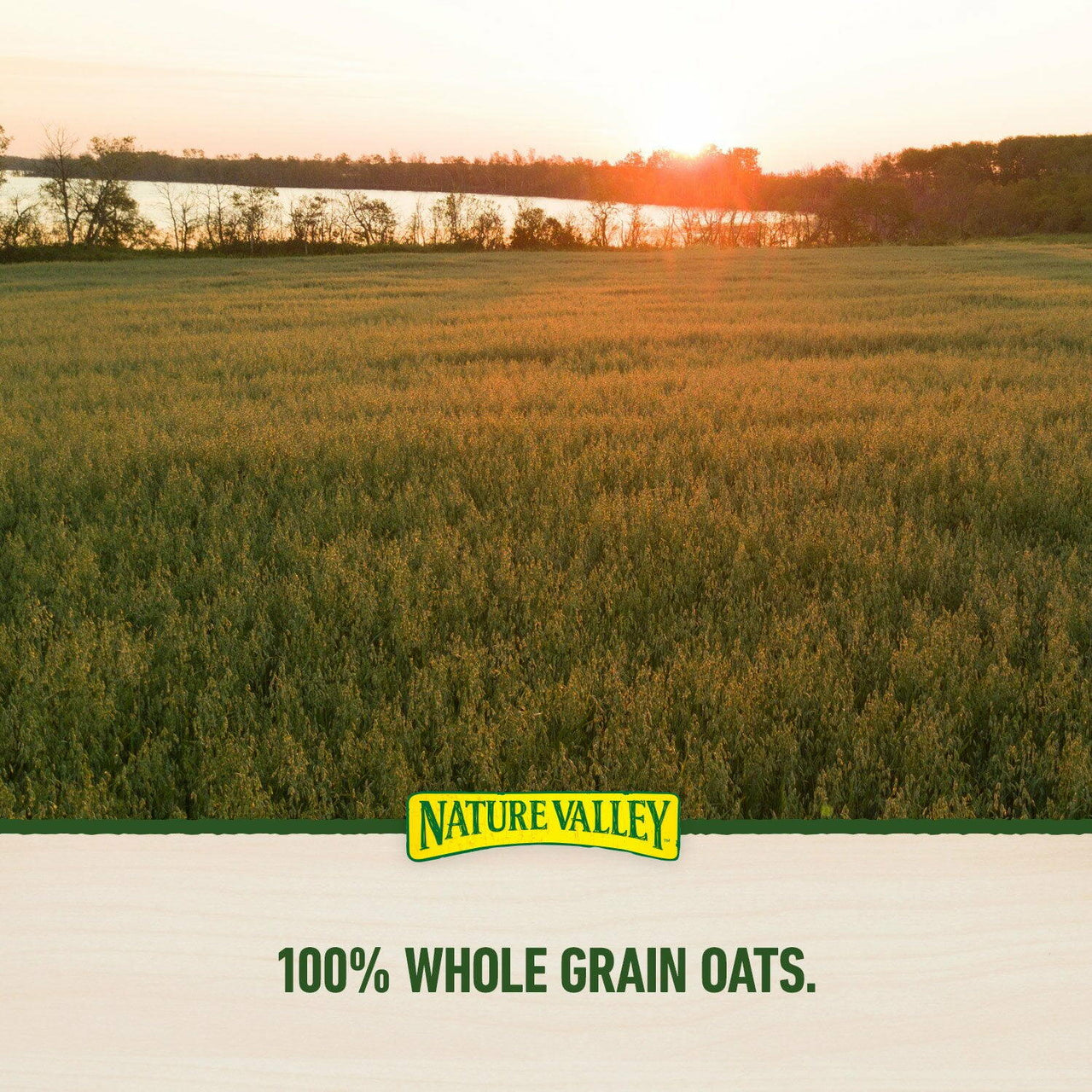 Nature Valley Sweet and Salty Nut Almond Granola Bars, 36 ct.