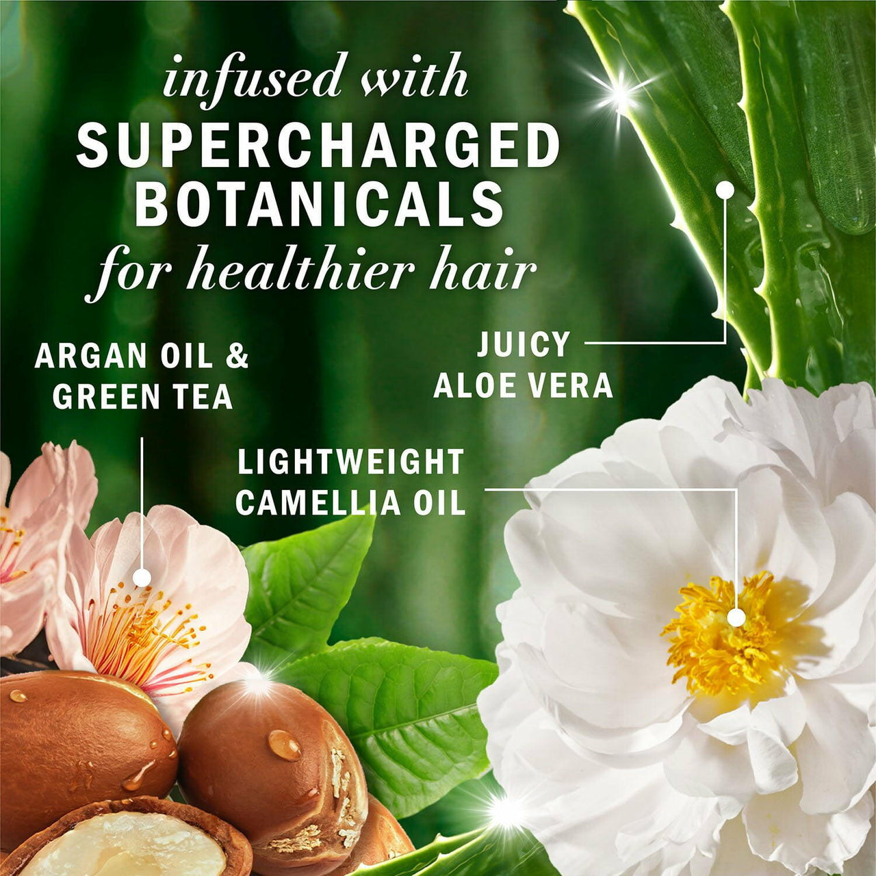 Herbal Essences Argan Oil & Green Tea Conditioner, 33.8 fl. oz.