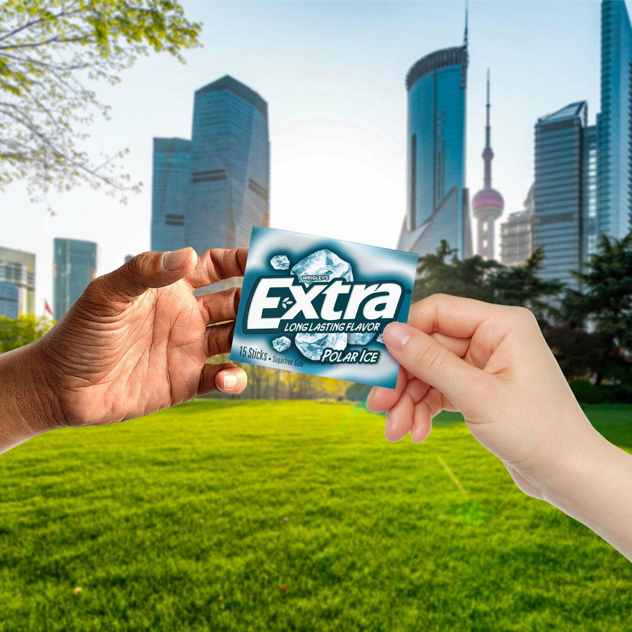 Extra Polar Ice Sugar Free Chewing Gum, 15 pcs., 10 pk.