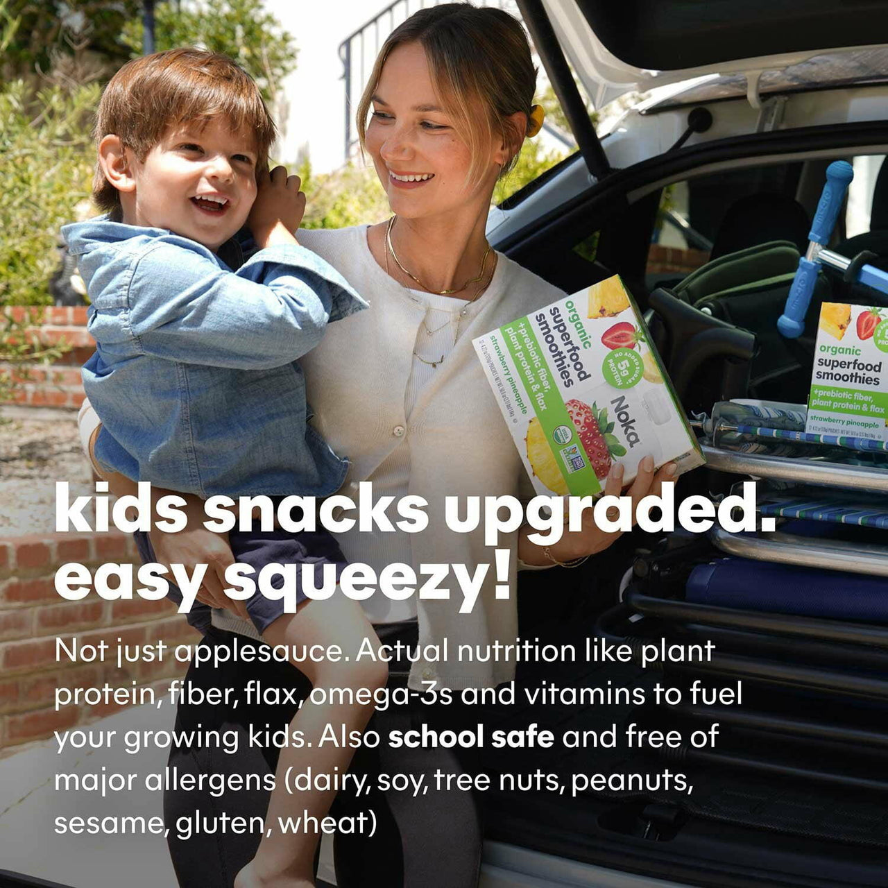 Noka Superfood Smoothie, Strawberry Banana, 12 pk.