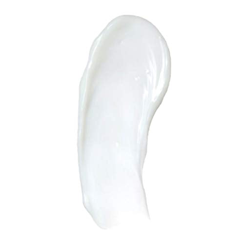 BIOLAGE Advanced Fiberstrong Conditioner | Paraben free|Reinforces Hair Strength & Elasticity | For Hairfall due to hair breakage