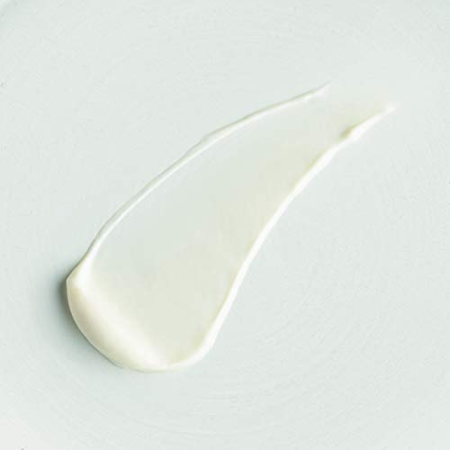 The Body Shop Lotion, Argan, 8.4 Ounce