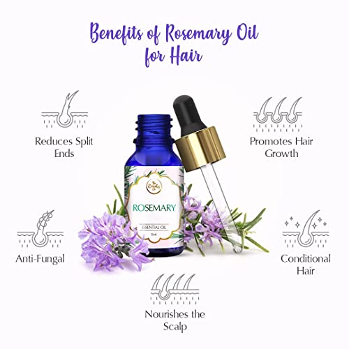 The Beauty Co. Rosemary Essential Oil - 15ml for Hair Growth and Acne Control | For Steam, Cough & Cold | 100% Pure, Natural & Undiluted