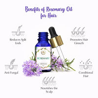 The Beauty Co. Rosemary Essential Oil - 15ml for Hair Growth and Acne Control | For Steam, Cough & Cold | 100% Pure, Natural & Undiluted