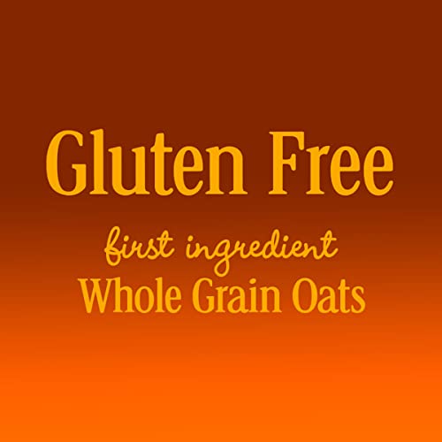 Honey Nut Cheerios Heart Healthy Cereal, Gluten Free Cereal With Whole Grain Oats, 10.8 OZ