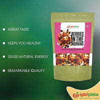Nutriplato Dry Fruits Mix - Nuts Raisins & Berries, 340 g Pouch