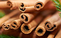 WONDERLAND FOODS (DEVICE) Cinnamon, Dalchini Sticks (Whole Spices) (250g)