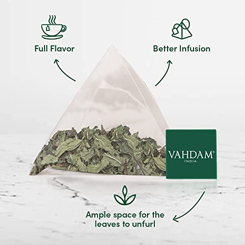 VAHDAM, Pure Mint Herbal Tea (15 Pyramid Tea Bags) Caffeine Free, Non-GMO, USDA Organic Ingredients- Peppermint & Spearmint Tea | Mint Tea Bags, Herbal Detox Tea Packed in Eco-Conscious Tea Bags