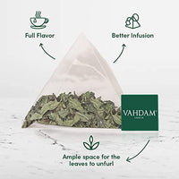 VAHDAM, Pure Mint Herbal Tea (15 Pyramid Tea Bags) Caffeine Free, Non-GMO, USDA Organic Ingredients- Peppermint & Spearmint Tea | Mint Tea Bags, Herbal Detox Tea Packed in Eco-Conscious Tea Bags
