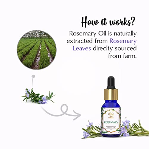 The Beauty Co. Rosemary Essential Oil - 15ml for Hair Growth and Acne Control | For Steam, Cough & Cold | 100% Pure, Natural & Undiluted