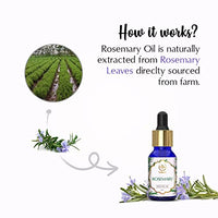 The Beauty Co. Rosemary Essential Oil - 15ml for Hair Growth and Acne Control | For Steam, Cough & Cold | 100% Pure, Natural & Undiluted