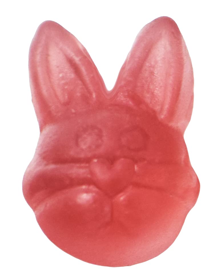 YumEarth Spring Fruit Gummy Snack Packs, 10 Count - Allergy Friendly, Non GMO, Gluten Free, Vegan