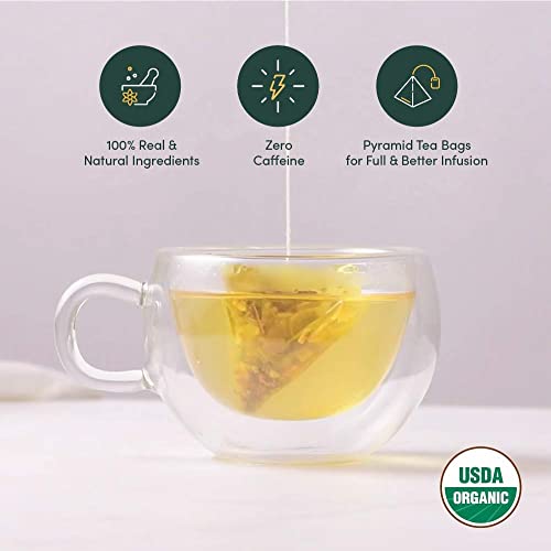 VAHDAM - Organic Spiced Turmeric Tea | USDA Organic Certified 15 Turmeric Tea Bags | Blend of Turmeric Powder & Fresh Spices | Herbal Tea for Weight Loss | 100% Natural Detox