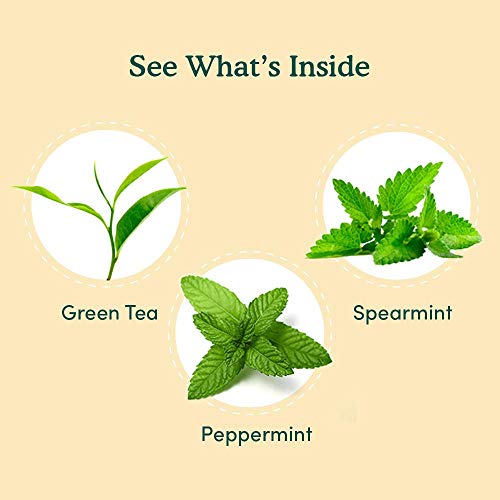 VAHDAM, Organic Mint Green Tea (15 Pyramid Tea Bags) USDA Certified, Non-GMO, 100% Natural Spearmint & Peppermint Leaves | Fresh Mint Green Tea Bags, Long Leaf Green Tea Leaves