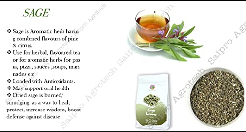 Saipro's  Eatery Harvest Crushed Dried Sage, Sage Tea Leaves,100 g, Sage herb Spice | Skin Glow Herbal Tea| Iced Tea| Smudging | Removes Negativity| Sage,100% Natural