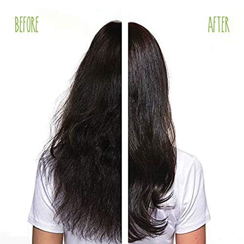 BIOLAGE Advanced Fiberstrong Conditioner | Paraben free|Reinforces Hair Strength & Elasticity | For Hairfall due to hair breakage