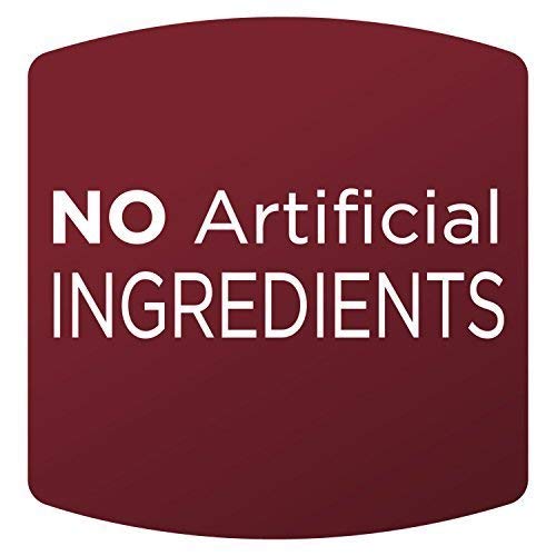 Orchard Valley Harvest Glazed Pecans Salad Toppers, 0.85 Ounce Bags (Pack of 15), with Cranberries and Pepitas, Non-GMO, No Artificial Ingredients