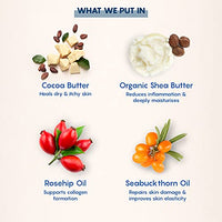 The Moms Co. Natural Body Butter (200g) for Stretch Marks, Dry Skin and Itchy Skin with Shea and Cocoa Butter