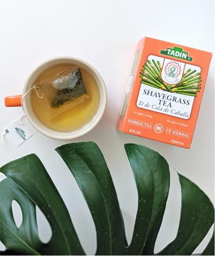 Tadin Shavegrass Herbal Tea, Caffeine Free, 24 Tea Bags Per Box, Pack of 6 Boxes Total