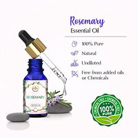 The Beauty Co. Rosemary Essential Oil - 15ml for Hair Growth and Acne Control | For Steam, Cough & Cold | 100% Pure, Natural & Undiluted