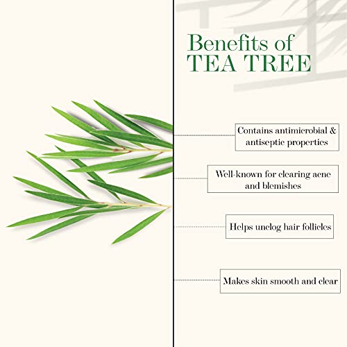 Good Vibes 100% Pure Tea Tree Essential Oil, 10 ml Controls Excess Sebum, Helps Reduce Dark Spots & Acne Scars, Stimulates Hair Growth, Suitable For All Skin & Hair Types, No Alcohol, Parabens & Sulphates