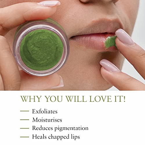 Just Herbs Ayurvedic Mint Lip Scrub For Dry,Chapped & Smoker Lips - SLS & Paraben Free 15gm