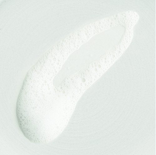 The Body Shop Foaming Aloe Vera Facial Wash, 150ml